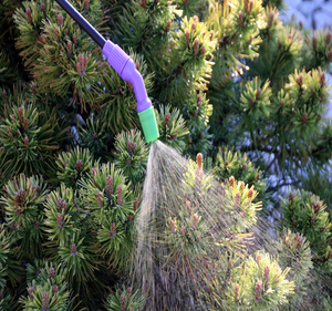 Lawn and Tree Fertilizing