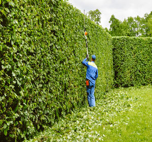lawn Care