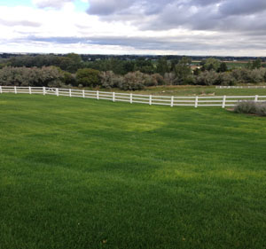 lawn Care