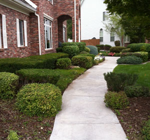 lawn Care
