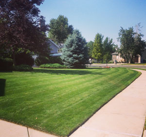 lawn Care