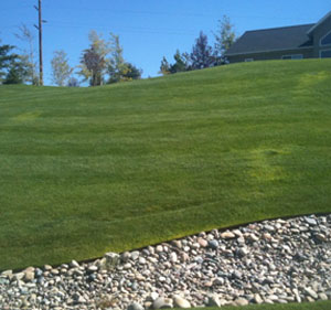 lawn Care