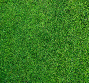 Lawn Care