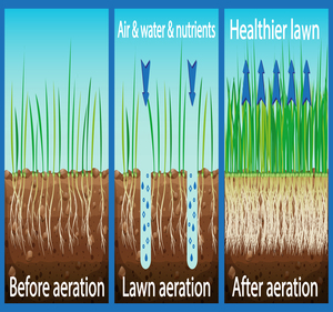Lawn Care